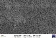 SEM image of the published ultra-high-strength separator showing a uniform porous network